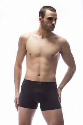 Мъжки боксер - термо- Бохем 113